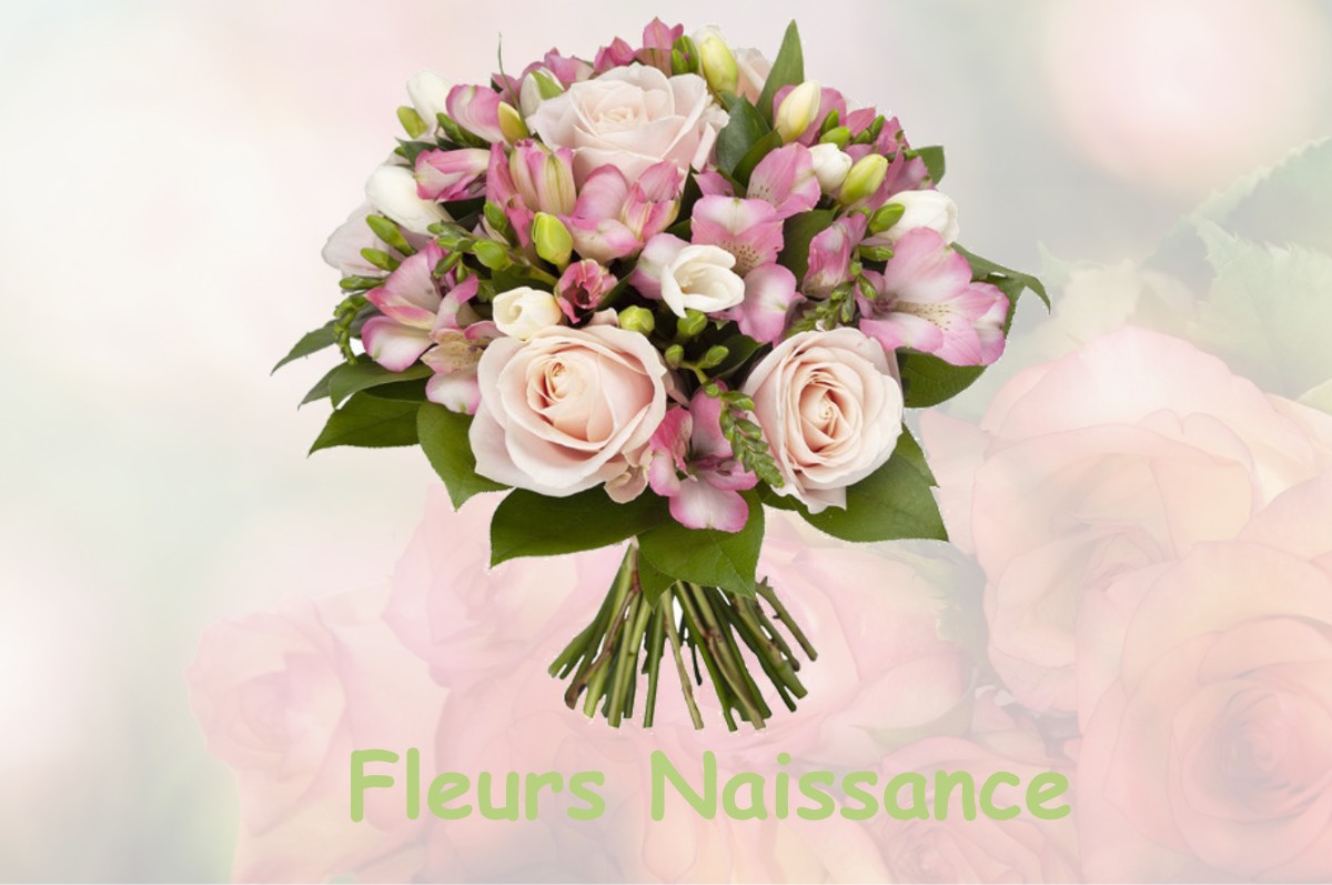 fleurs naissance DAMMARIE-SUR-LOING