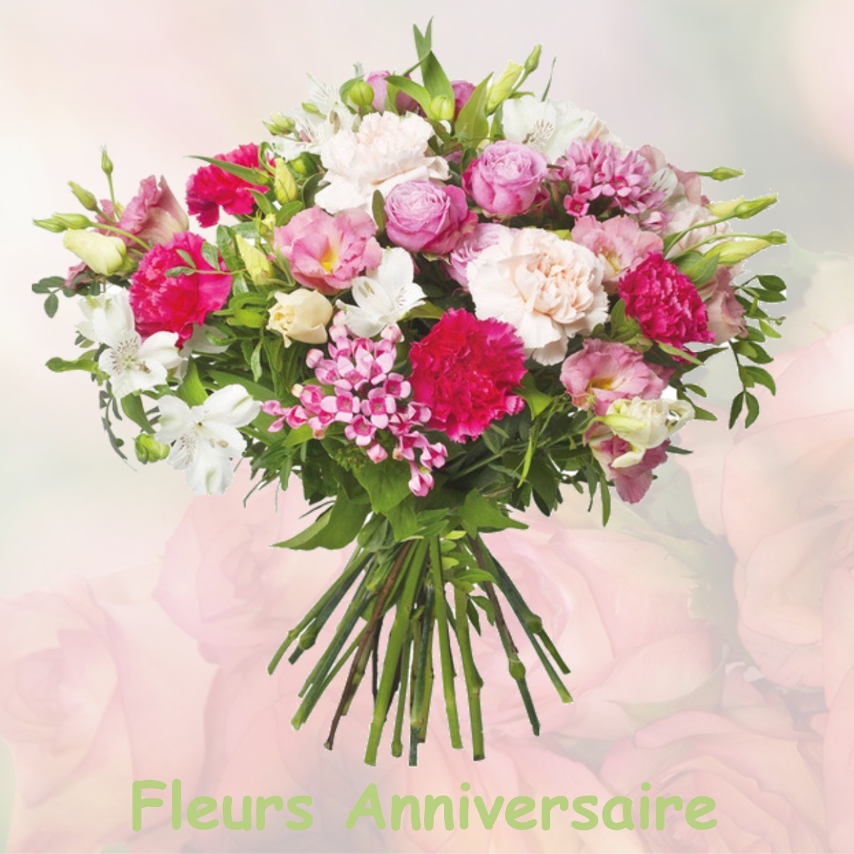 fleurs anniversaire DAMMARIE-SUR-LOING