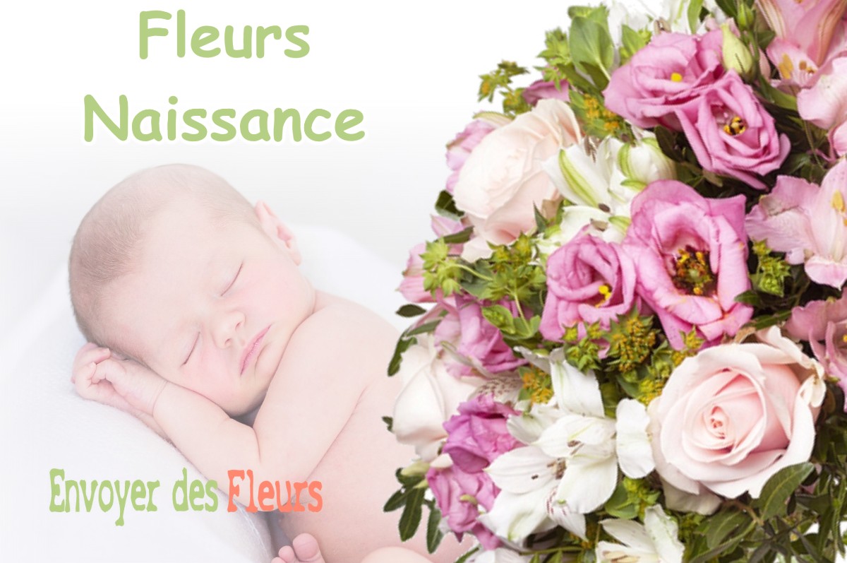 lIVRAISON FLEURS NAISSANCE à DAMMARIE-SUR-LOING